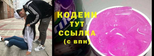 соль ск Дмитров