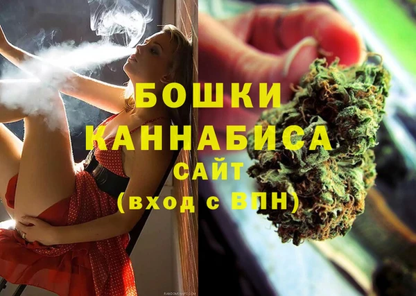 дурь Дмитриев