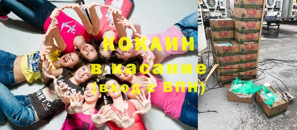 соль ск Дмитров