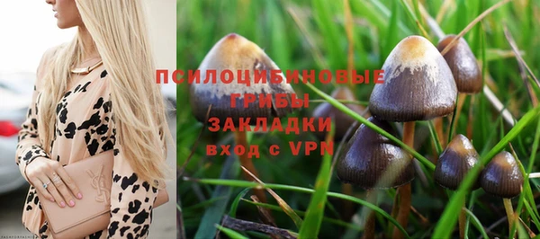 дурь Дмитриев