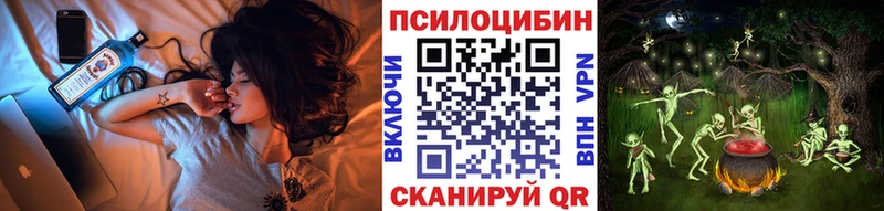 Купить закладки  Янаул  Псилоцибиновые грибы Magic Shrooms 